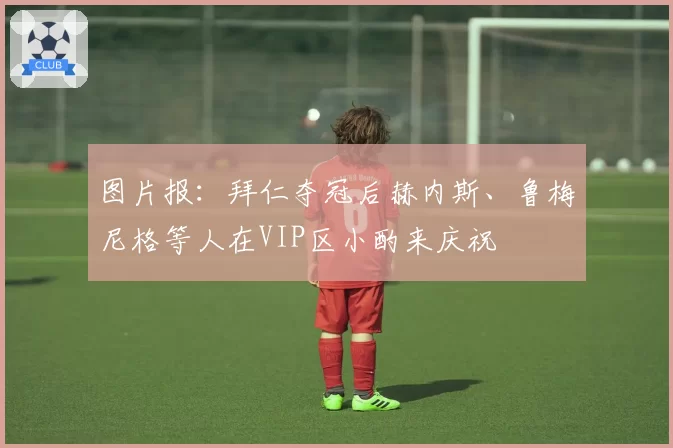 图片报：拜仁夺冠后赫内斯、鲁梅尼格等人在VIP区小酌来庆祝