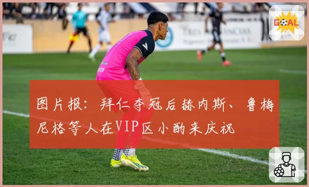 图片报：拜仁夺冠后赫内斯、鲁梅尼格等人在VIP区小酌来庆祝