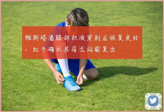 维斯塔潘膝部积液穿刺后恢复良好，红牛确认其荷兰站前复出