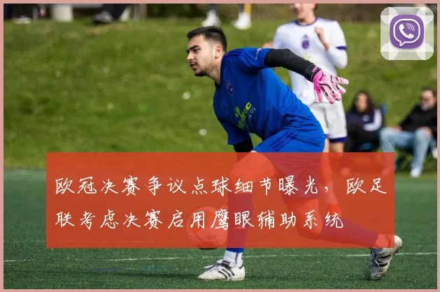 欧冠决赛争议点球细节曝光，欧足联考虑决赛启用鹰眼辅助系统