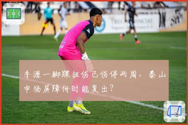 李源一脚踝扭伤已伤停两周，泰山中场屏障何时能复出？